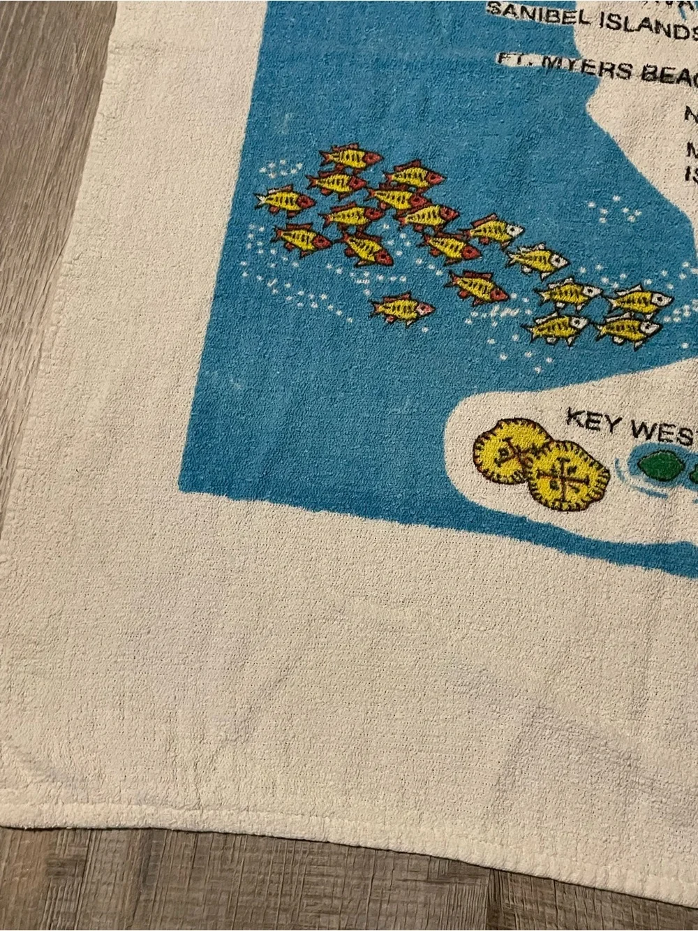 Vintage Florida Map Graphic Beach Towel - Bright Blue & White